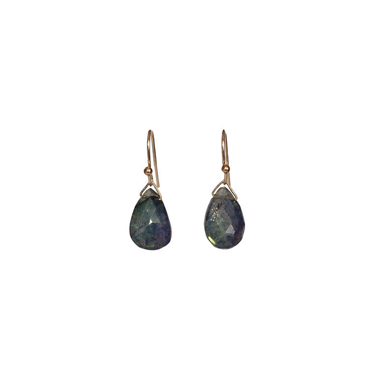 Dark Blue Labradorite Drop Earrings